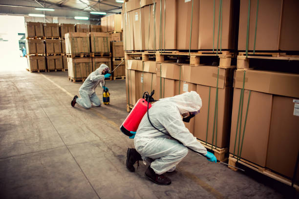Best Exterminator Services  in Grand Rapids, MN