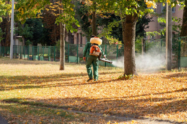 Best Mosquito Control Services  in Grand Rapids, MN