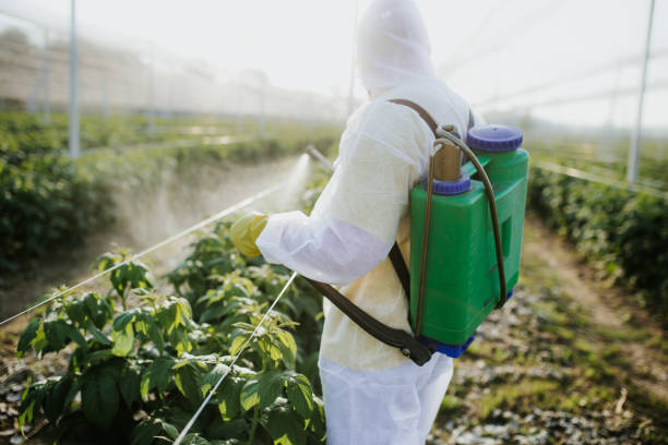 Best Local Pest Control Services  in Grand Rapids, MN